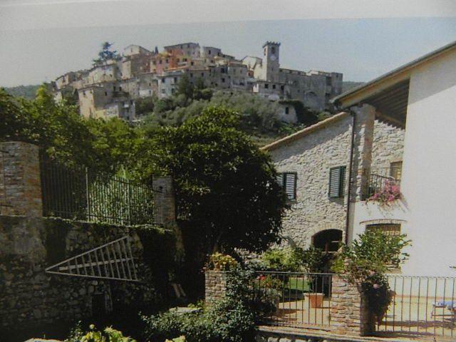 Vendita Multivani, Ameglia foto