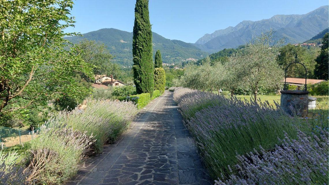 Vendita Case, Bagnone foto