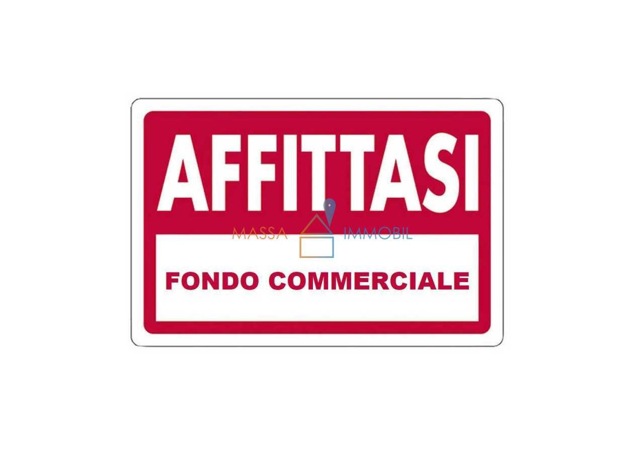 Affitto Monovano, Massa foto
