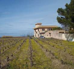 Vendita Ville, Marsala