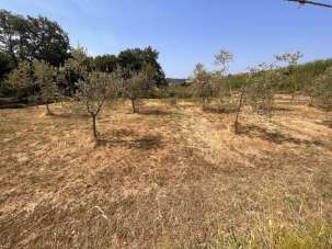 Vendita Case, Santo Stefano di Magra