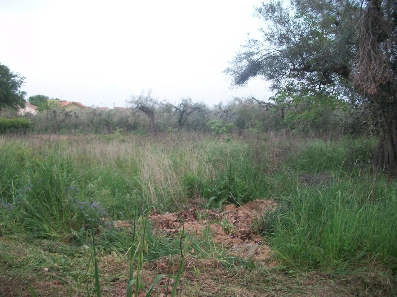 Vendita Terreni, Treglio foto