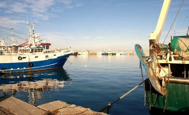 Vendita Monovano, San Benedetto del Tronto Vendita Monovano, San Benedetto del Tronto foto