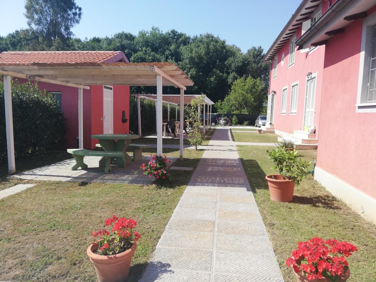 Vendita Multivani, Massarosa foto