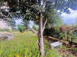 Vendita Ville, Seravezza Vendita Ville, Seravezza