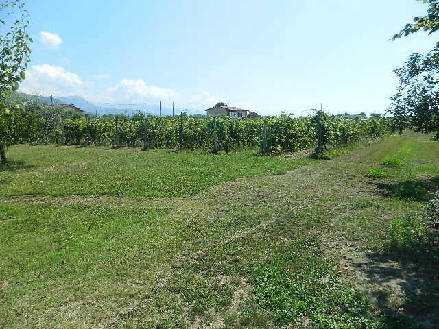 Vendita Monovano, Castelnuovo Magra Vendita Monovano, Castelnuovo Magra foto