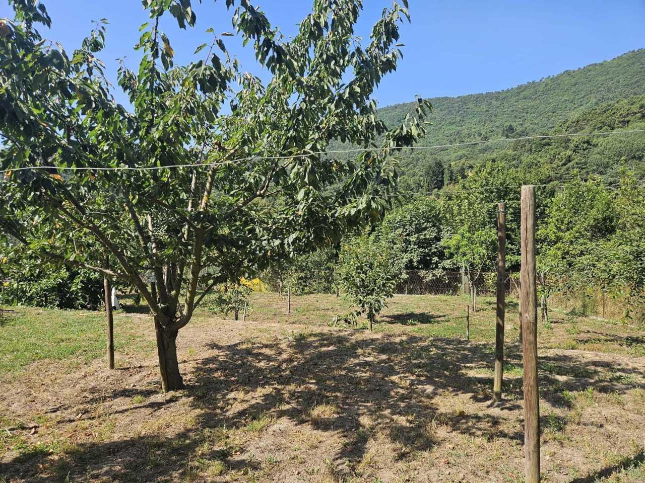 Vendita Pentavani, Sanremo Vendita Pentavani, Sanremo foto