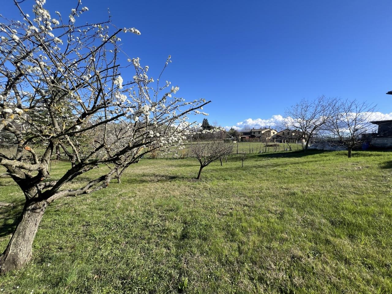 Vendita Multivani, Valsamoggia foto