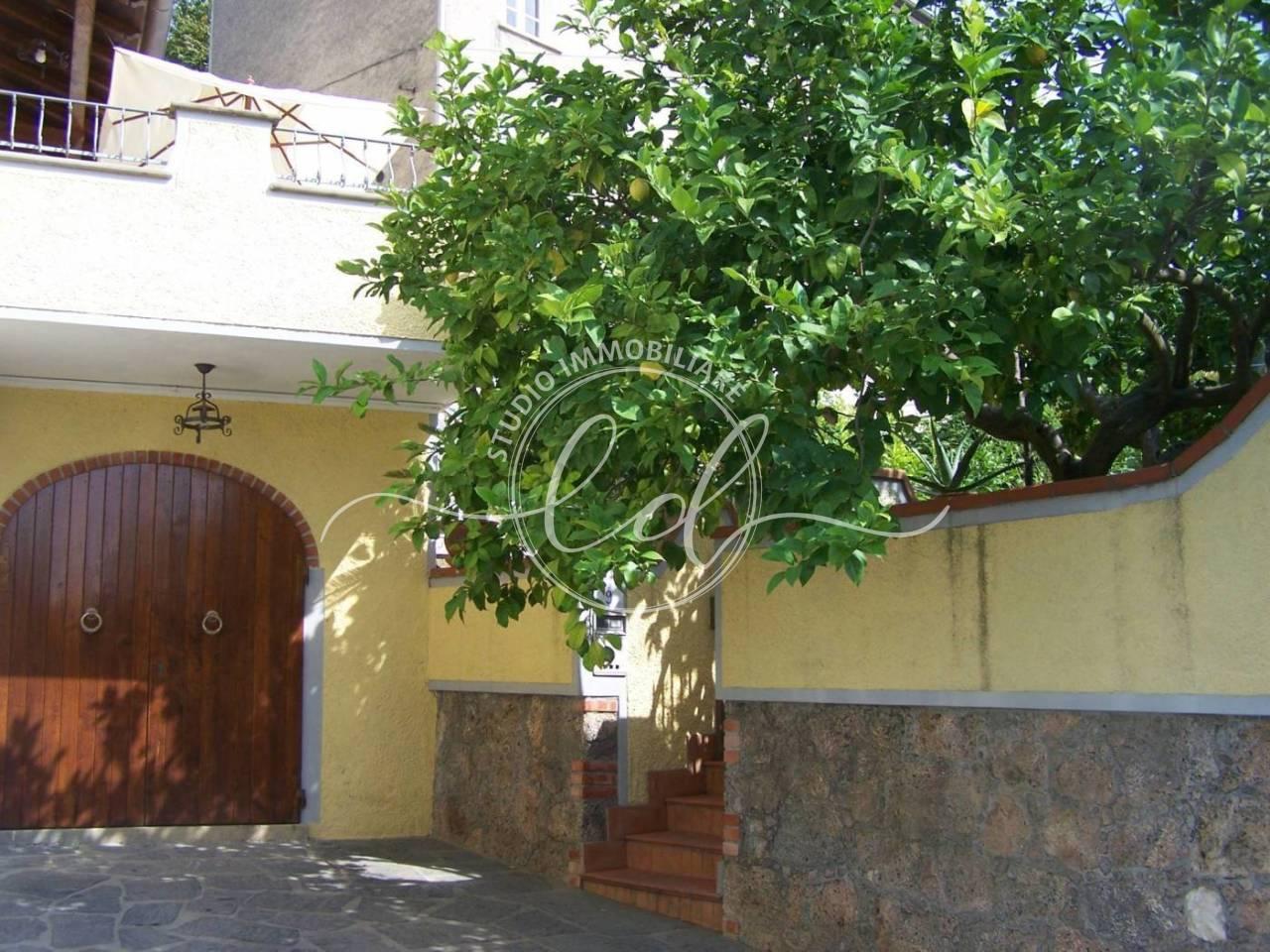 Vendita Pentavani, Pietrasanta foto