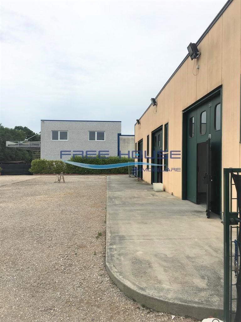 Affitto Monovano, Ravenna Affitto Monovano, Ravenna foto