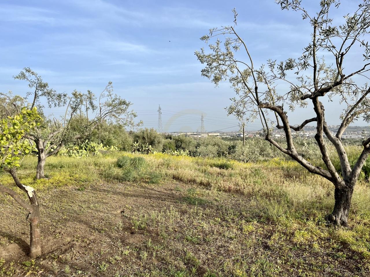 Vendita Terreni, Belpasso Vendita Terreni, Belpasso foto