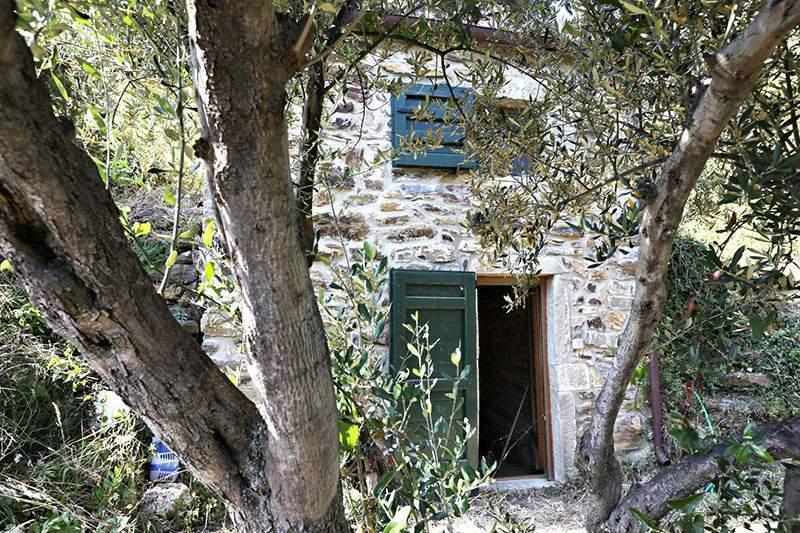 Vendita Bivani, Riomaggiore foto