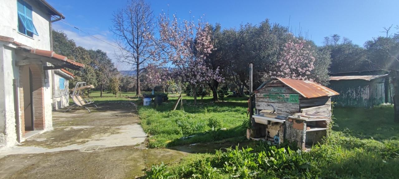Vendita Esavani, Sarzana foto
