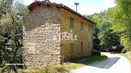 Vendita Quadrivani, Pelago foto