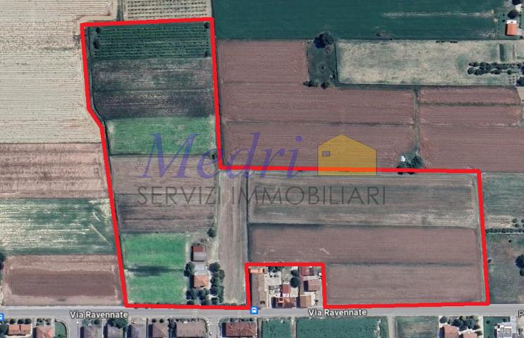 Vendita Multivani, Cesena foto