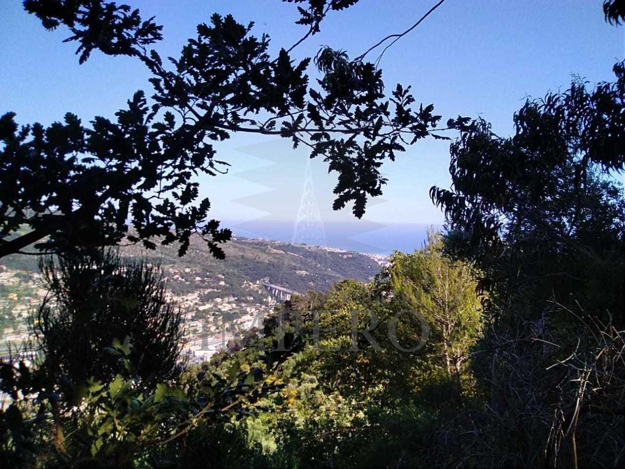 Vendita Monovano, Camporosso Vendita Monovano, Camporosso foto