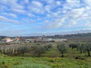 Vendita Monovano, Frascati