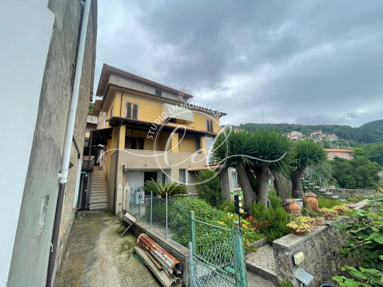 Vendita Multivani, Pietrasanta foto