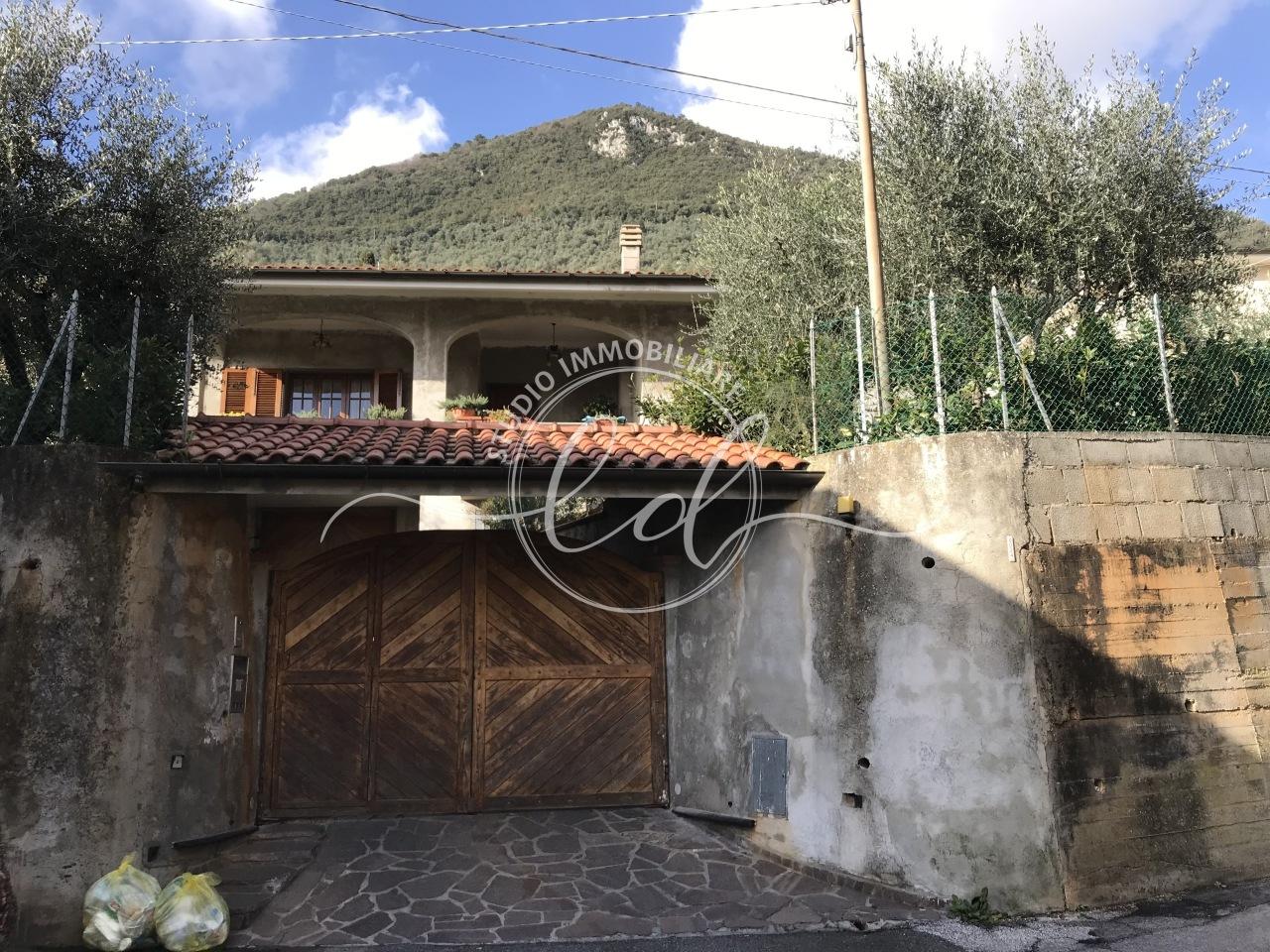 Vendita Multivani, Pietrasanta foto