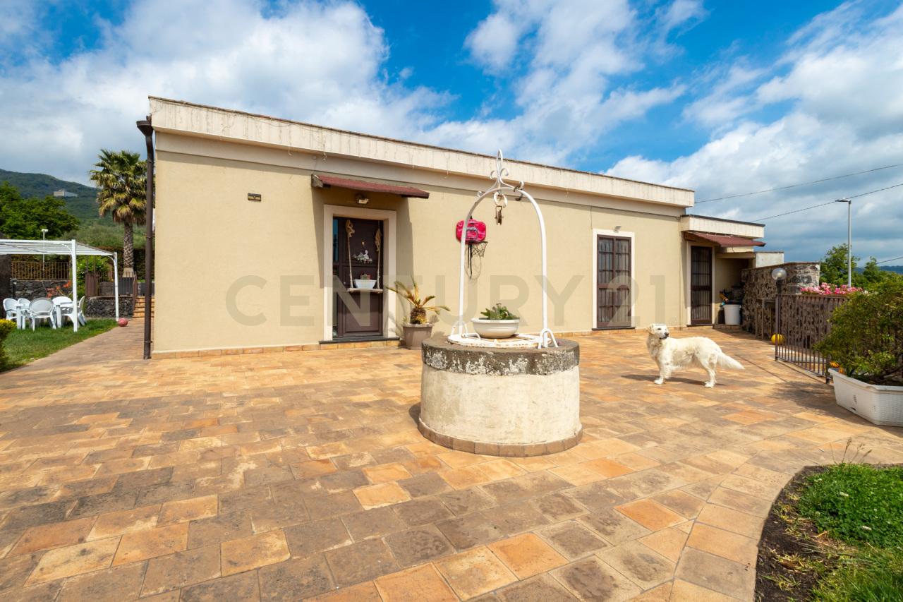 Vendita Pentavani, Zafferana Etnea Vendita Pentavani, Zafferana Etnea foto