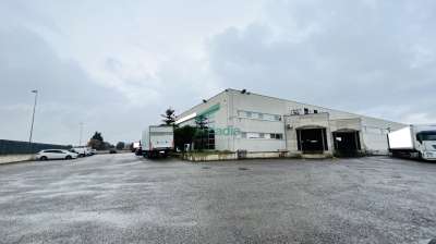 Vendita Monovano, Bitritto Vendita Monovano, Bitritto
