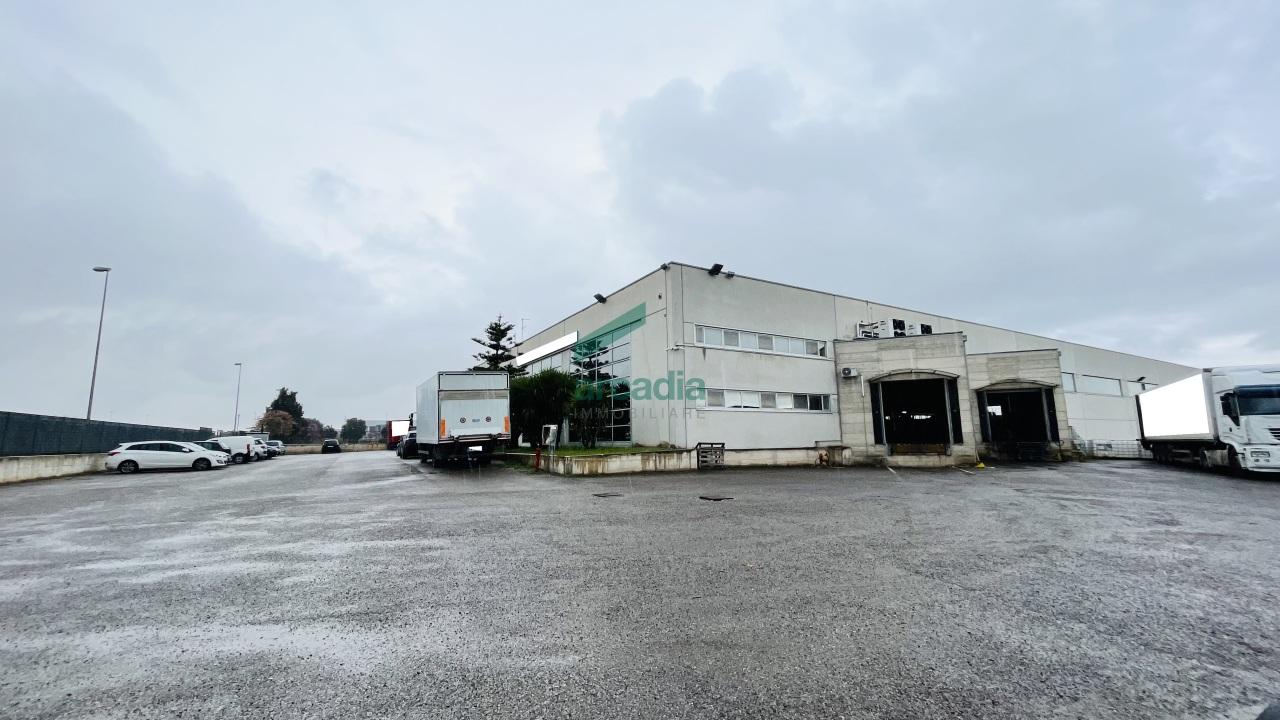 Vendita Monovano, Bitritto foto