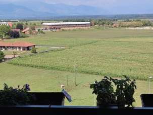 Vendita Pentavani, Venaria Reale