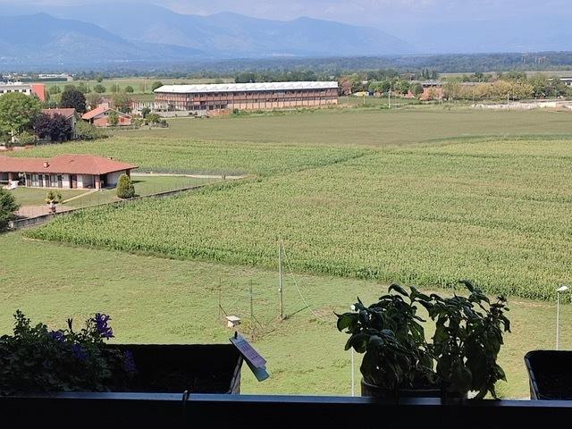 Vendita Pentavani, Venaria Reale foto