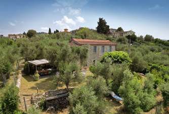 Affitto Esavani, Massarosa