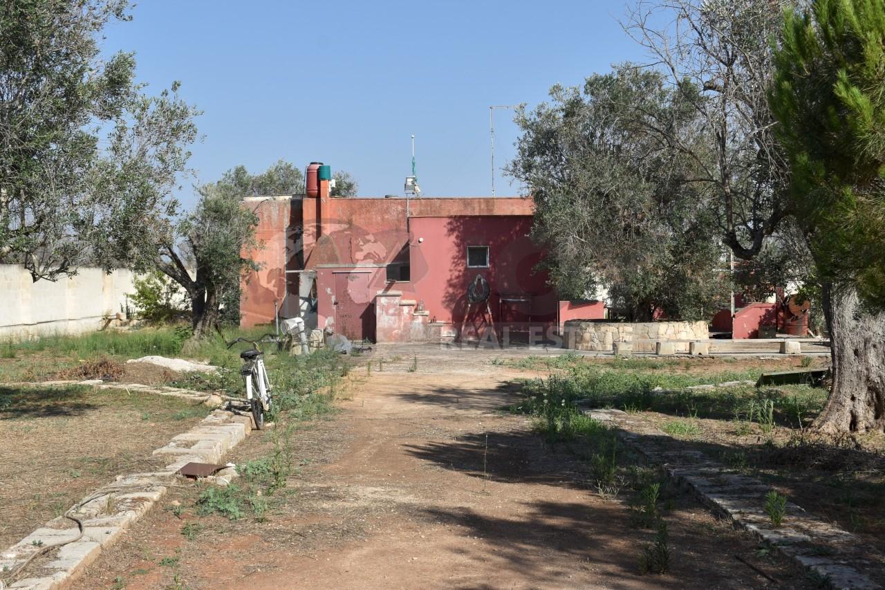 Vendita Trivani, Copertino Vendita Trivani, Copertino foto