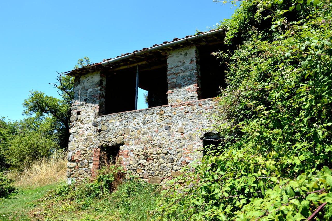 Vendita Multivani, Lucca foto