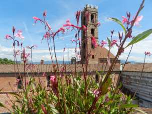 Venta Eptavani, Lucca Venta Eptavani, Lucca