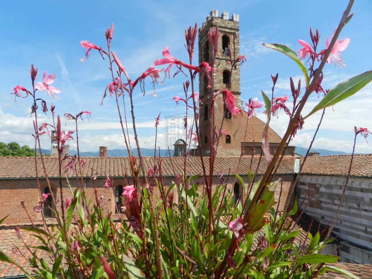 Vendita Eptavani, Lucca foto