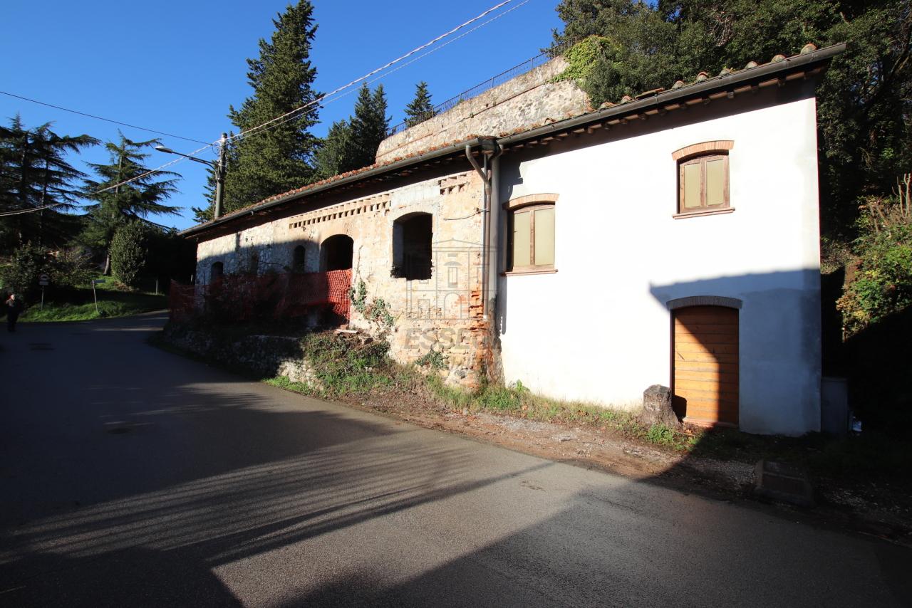 Sale Multivani, Lucca foto