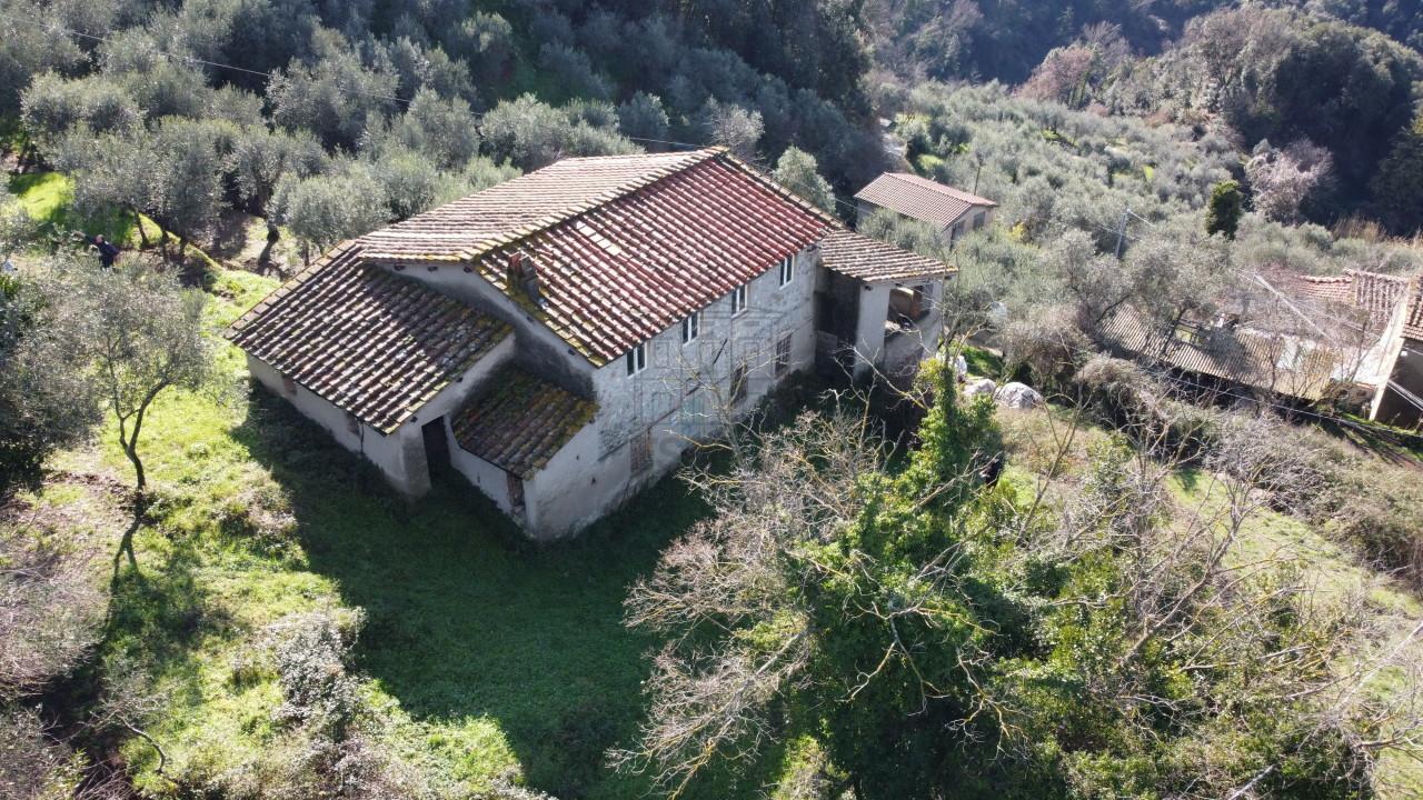 Vendita Multivani, Lucca foto