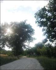 Vendita Monovano, Offida Vendita Monovano, Offida