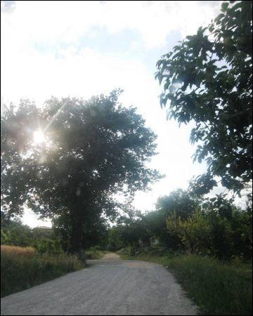 Vendita Monovano, Offida foto