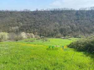 Vendita Monovano, Medesano Vendita Monovano, Medesano