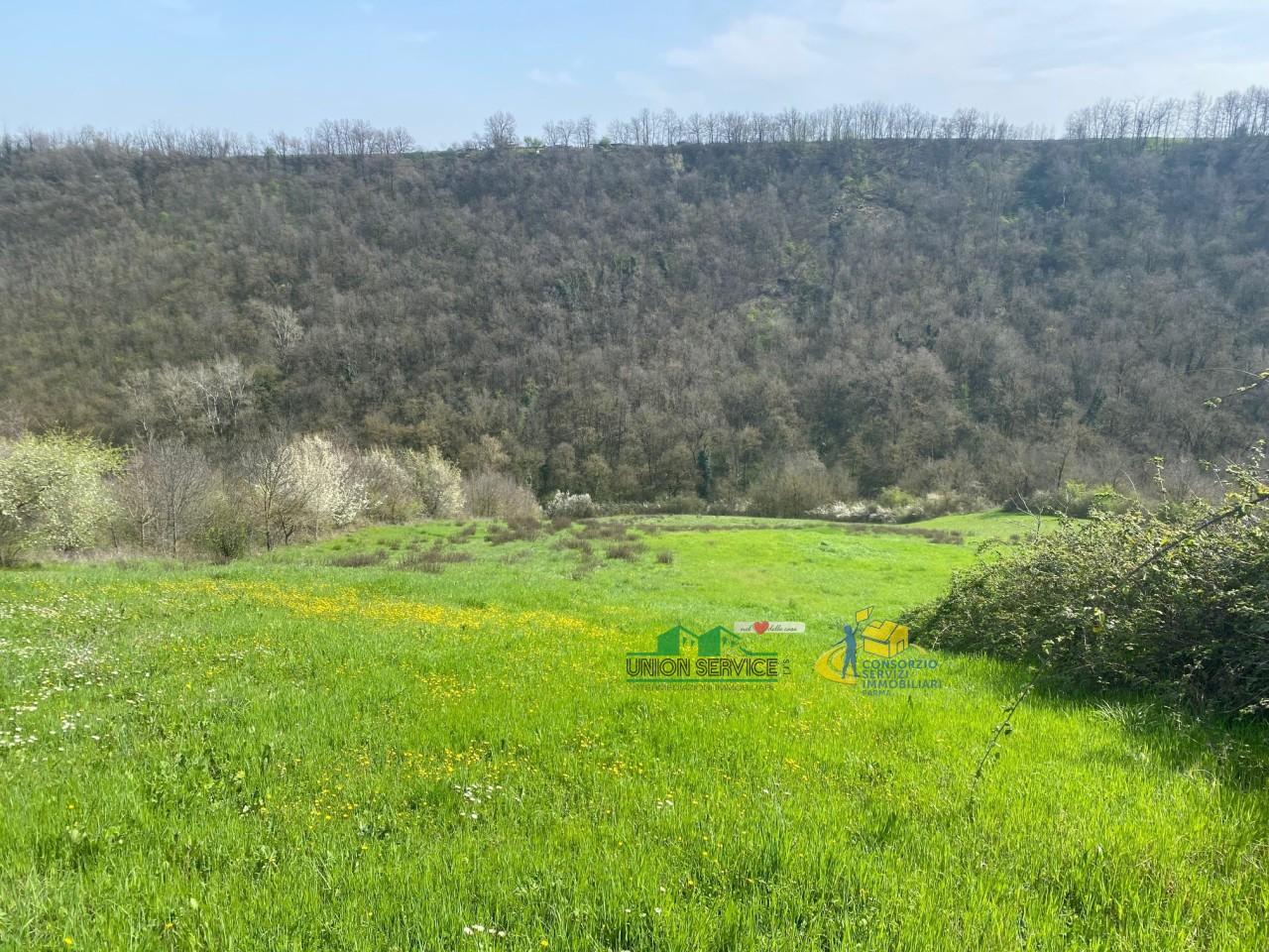 Vendita Monovano, Medesano foto