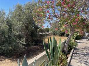 Venda Salas, Pozzallo