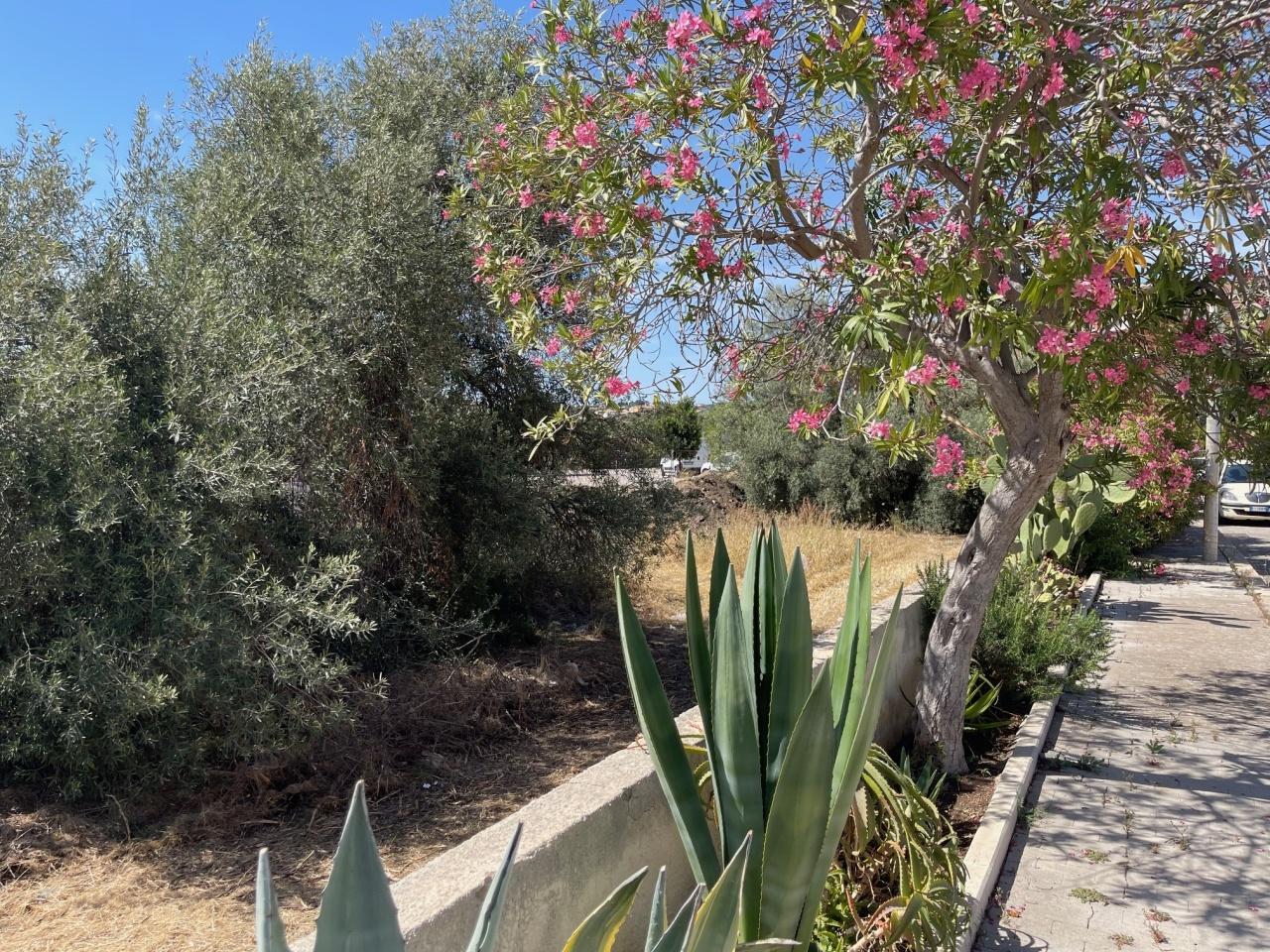 Vendita Monovano, Pozzallo foto