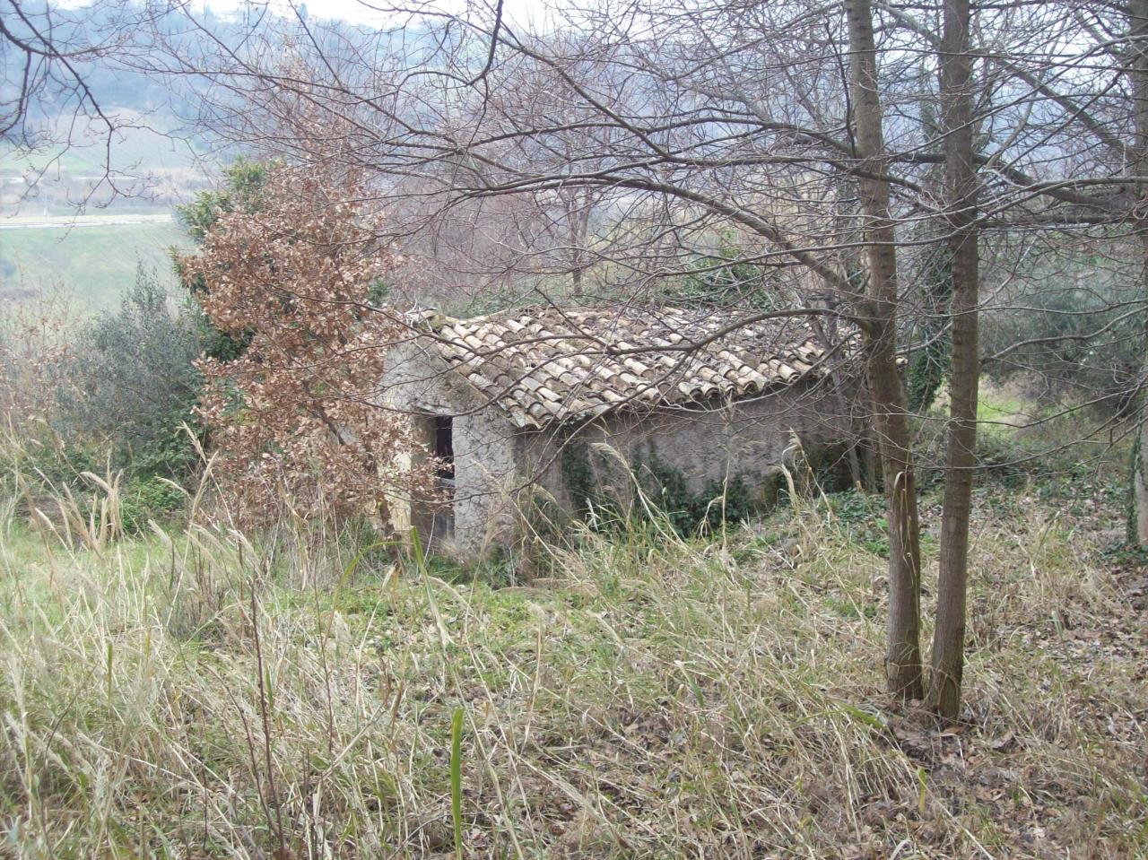 Vendita Quadrivani, Treglio Vendita Quadrivani, Treglio foto