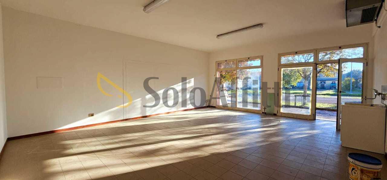 Affitto Quadrivani, Forlimpopoli foto