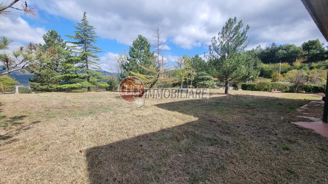 Vendita Multivani, Barberino di Mugello foto