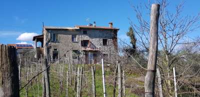Vendita Bivani, Vezzano Ligure