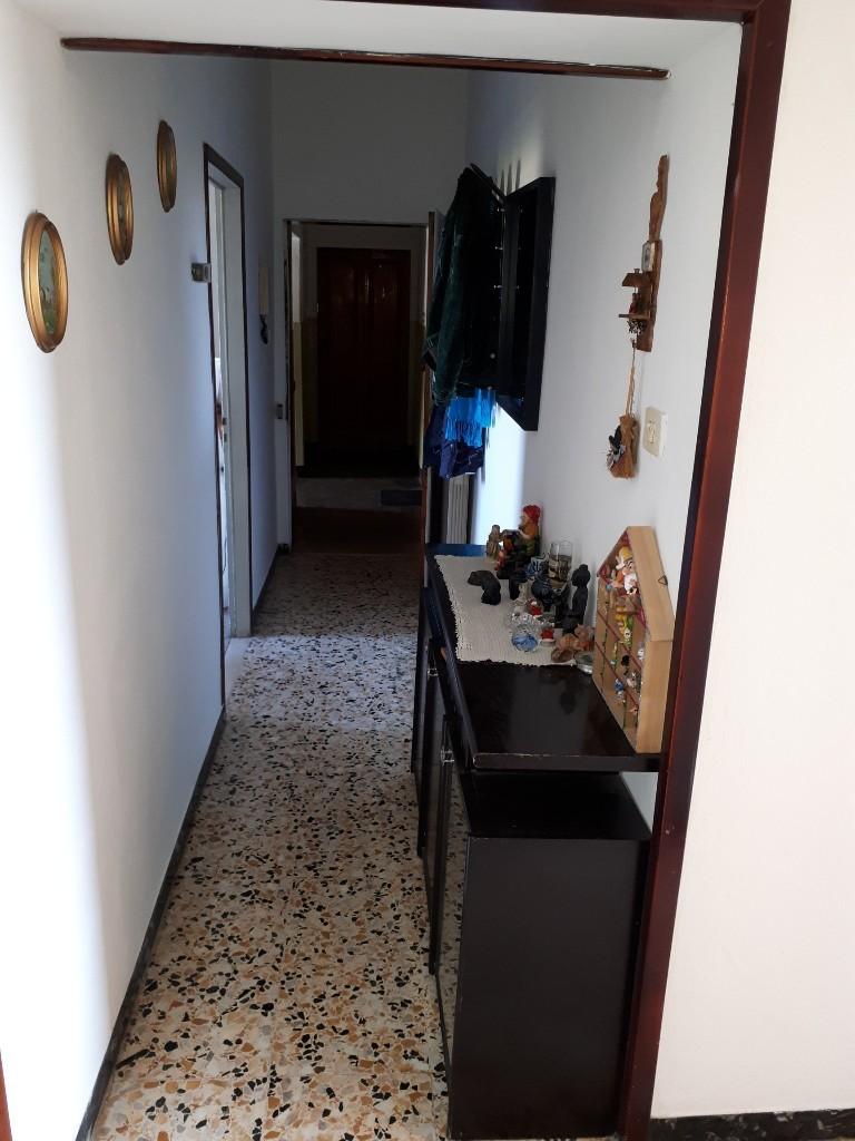 Vendita Bivani, Asciano Vendita Bivani, Asciano foto