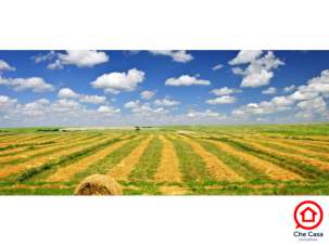 Vendita Terreni, Ravenna Vendita Terreni, Ravenna