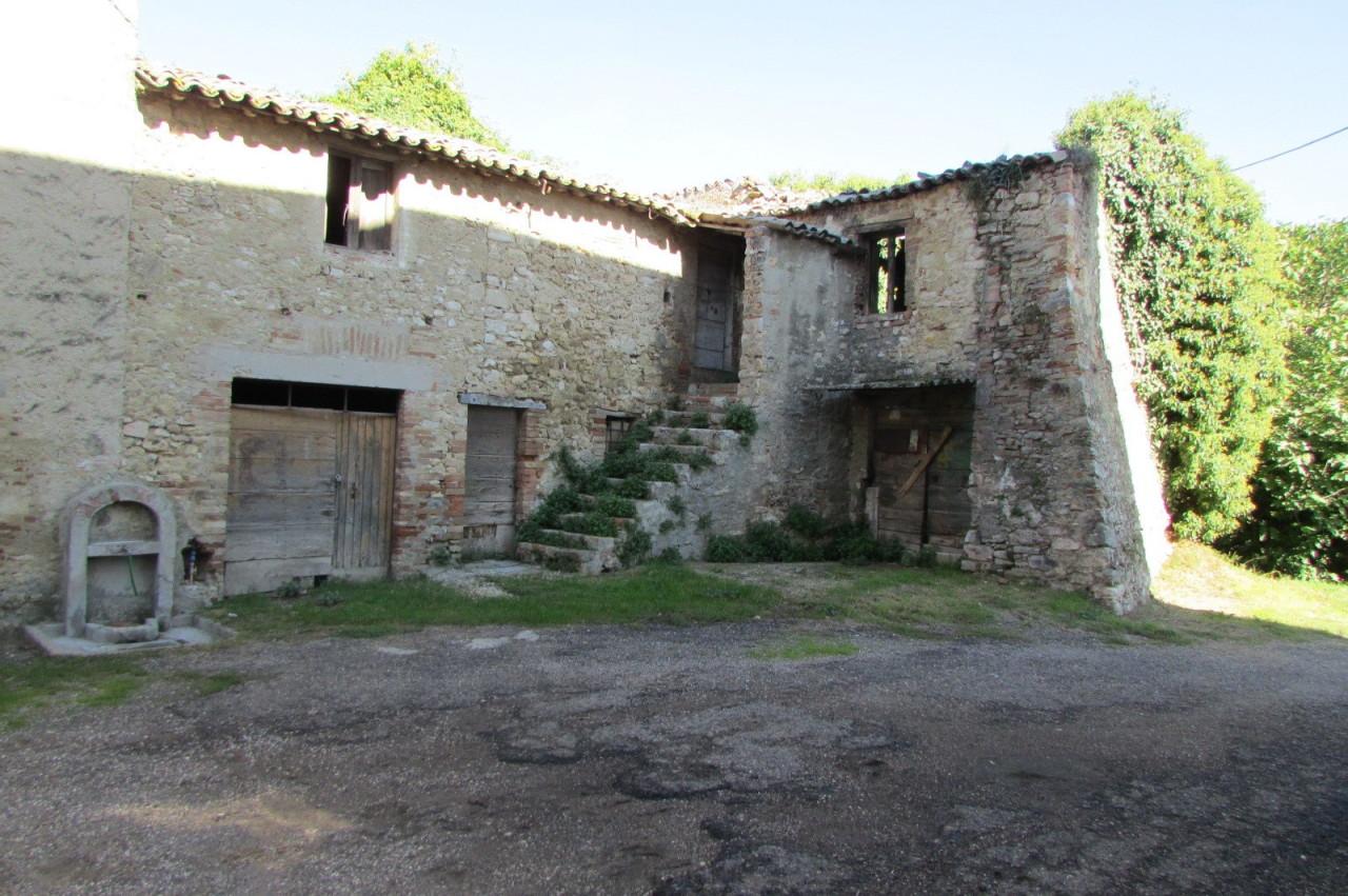 Vendita Multivani, Todi foto