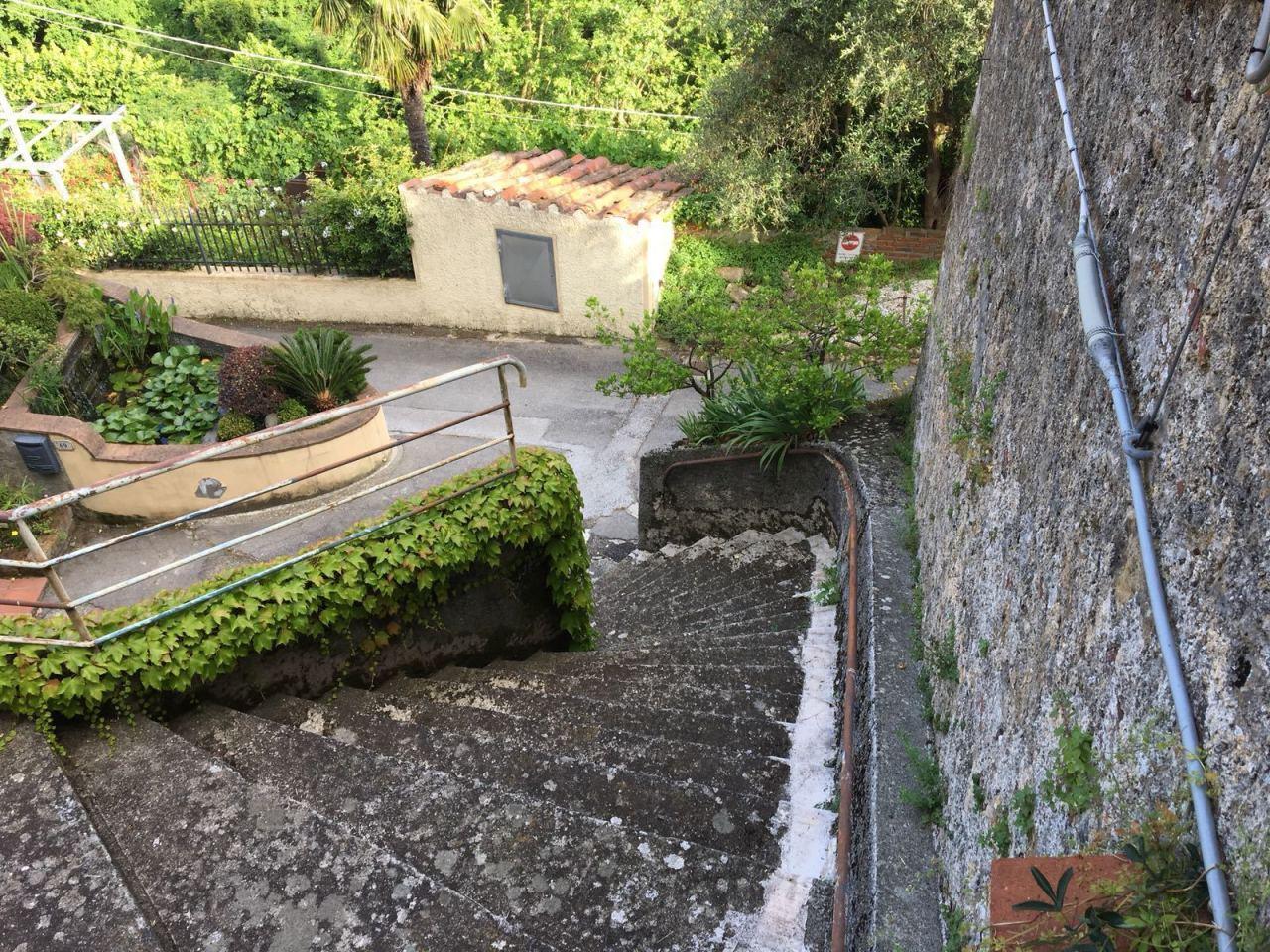 Vendita Multivani, Camaiore Vendita Multivani, Camaiore foto