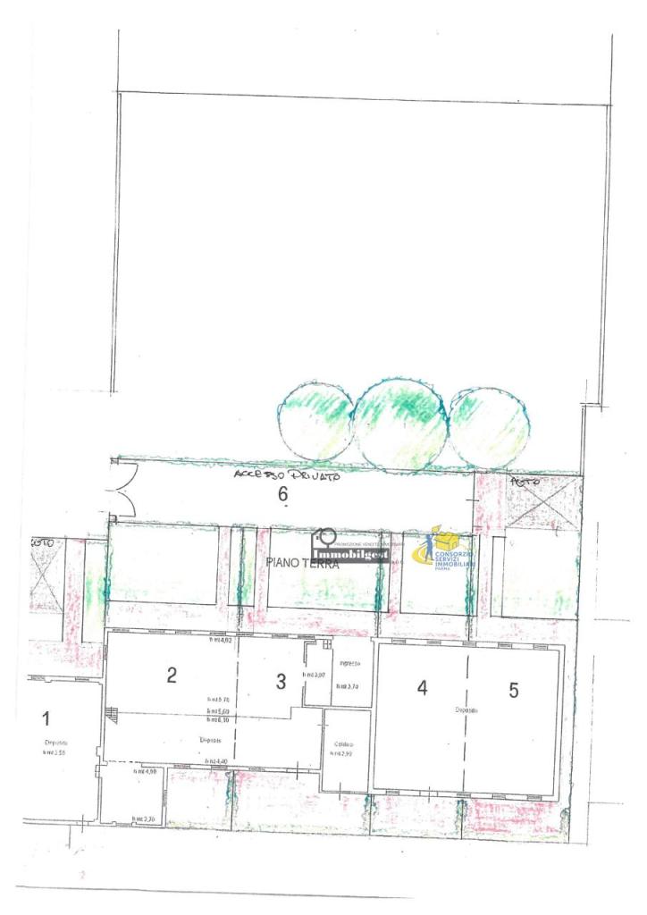 Vendita Pentavani, Sorbolo Mezzani foto